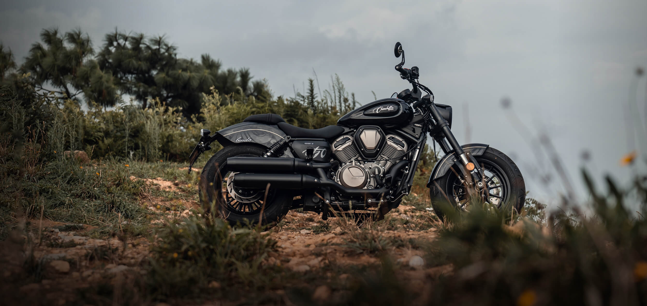 Chinchilla 500 — 2